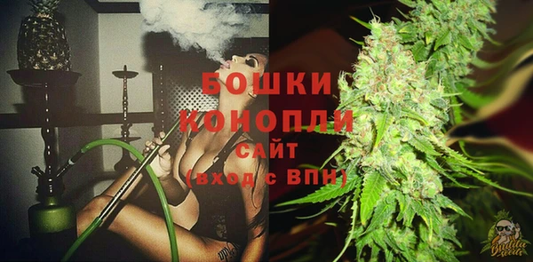 трава Аркадак