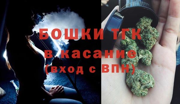 трава Аркадак