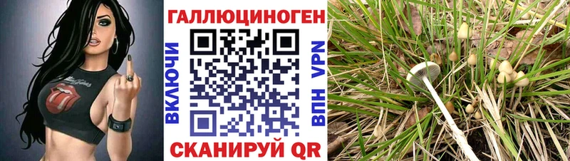 Галлюциногенные грибы Magic Shrooms Ряжск